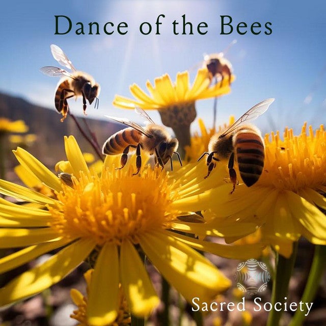 Dance of the Bees cover art